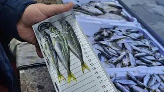 Trabzon’da Su Ürünlerine Sıkı Denetim