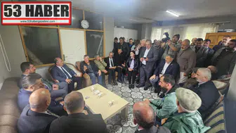 AK Parti Artvin İl Başkanlığı’ndan Arhavi Çıkarması: Faruk Çelik Çalışmaları Yerinde İnceledi