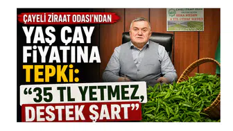 Çayeli Ziraat Odası’ndan Yaş Çay Fiyatına Tepki: 35 TL Yetmez, Destek Şart