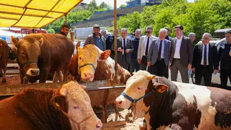 Ortahisar Belediyesi Kurban Bayramı Hazırlıklarını Tamamladı