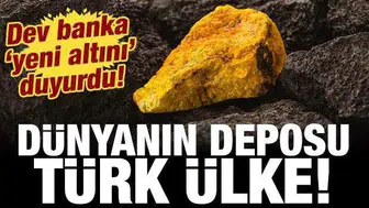 Dev banka 'yeni altını' ilan etti: Türk ülke dünyanın deposu konumunda!