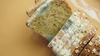 Küflü Gıdalara Dikkat! Sağlığınızı Tehdit Eden Tehlikeler ve Uzman Uyarıları