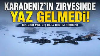 Karadeniz'in Zirvesinde Yaz Gelmedi: Didingola'da Kış Hâlâ Hüküm Sürüyor