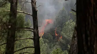 Fethiye'de Yangın Alarmı: Doğa Alev Alev!