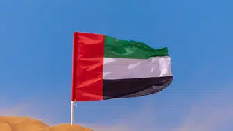 BAE'de Zayed Askeri Şehri'nde Çıkan Yangın Söndürüldü!