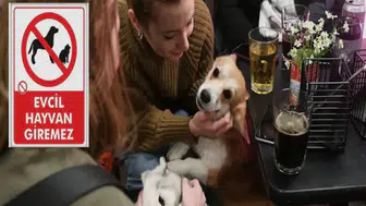 Köfteci Yusuf, Evcil Hayvan Girişini Yasaklayarak Yeni Bir Karara İmza Attı!