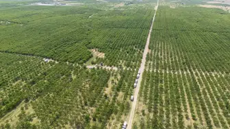 Kazancını katlamak isteyene üretimde yeni sistem!