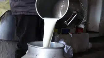 Ulusal Süt Konseyi, Çiğ Süt Tavsiye Fiyatında Değişiklik Yapmadı