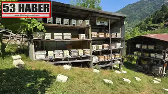 Artvin Macahel’de 2026 Bal Hasadı Coşkuyla Kutlandı