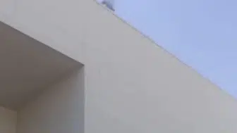 Hatay'da Sıradışı Strateji: "Karpuz Keselim Gel" Diyerek İnsanları İkna Etti!