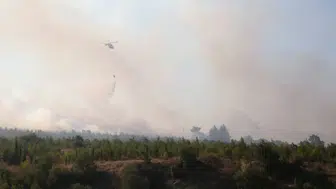 5 Şehirdeki Orman Yangınlarının Sonuçları Açıklandı