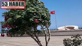 Rüzgar Hızı 60 Km'ye Ulaşacak! İki Bölge İçin Acil Uyarı Yayınlandı