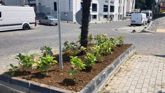 Yomra'da Parklar ve Yeşil Alanlar Yenileniyor