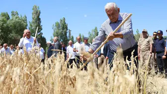 Anadolu'nun Tarihi Zenginlikleri 7. Harman Şenliği'nde Canlanıyor!