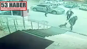 Kaymakamın köpeğe tekme attığı iddialarına soruşturma açıldı!