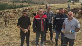 Aydıntepe’de Yetiştiricilere Yonca Zehirlenmesi Uyarısı