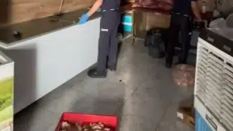 Baskınla Ortaya Çıkan Skandal: Ciğer Kavurma İmalathanesinde 500 Kilogram Sağlıksız Ürün Yakalandı!