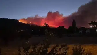 Muğla’da Orman Yangını Büyüyor: Ula’da 3 Ev Tahliye Edildi!