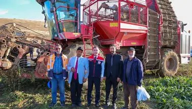 Bayburt’ta Şeker Pancarı Hasadı Başladı
