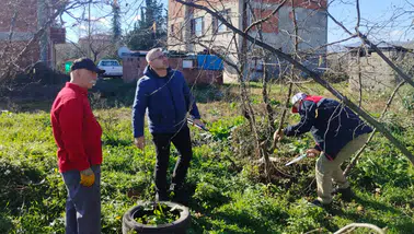 Trabzon’da Fındık Üreticilerine Kış Budaması Eğitimi Verildi