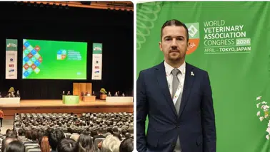 Kars’tan Tokyo’ya: Başarı Hikayesi Dünya Sahnesinde!