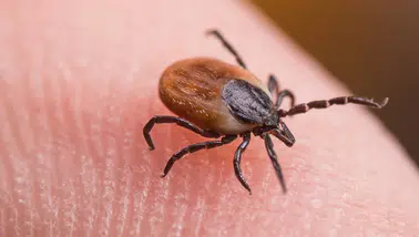 KKKA Şüphesiyle 21 Yaşındaki Genç Hayatını Kaybetti: Ülke Genelinde Endişe Yayılıyor