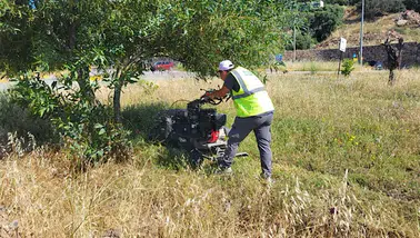 Bodrum genelinde 104 bin metrekareyi aşkın alanda ot temizliği yapıldı