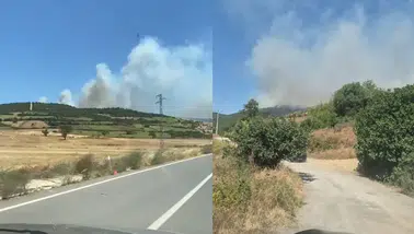 Balıkesir'de orman yangını