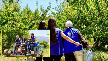 Isparta'lı gönüllü gençler kayısı hasadında üretime destek verdi