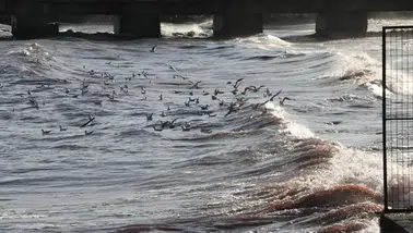 Tekirdağ'ın Bir İlçesinde Denize Giriş İhlal Edildi! Yasak Kararı Alındı