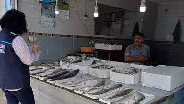 Sürmene’de Su Ürünleri Satış Noktalarına Sıkı Denetim