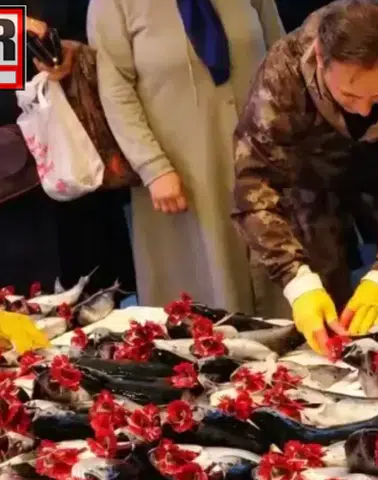 Trabzon'da Av Sezonu Coşkusu; Tezgahlar Palamutla Şenlendi!
