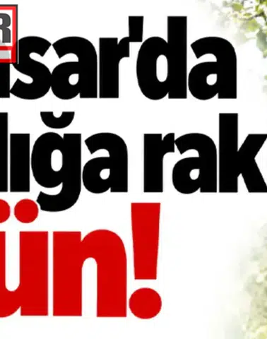 Ağasar’da Fındığa Yeni Rakip: Alternatif Tarım Ürünleri Yükseliyor!