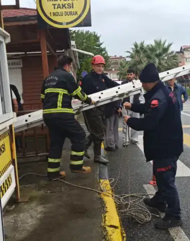 Sürmene İtfaiyesi, mahsur kalan kediyi kurtararak duyarlılık örneği sergiledi!