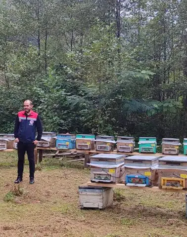Trabzon Sürmene’de Arılı Kovan Desteği İçin Saha Kontrolleri Yapılıyor