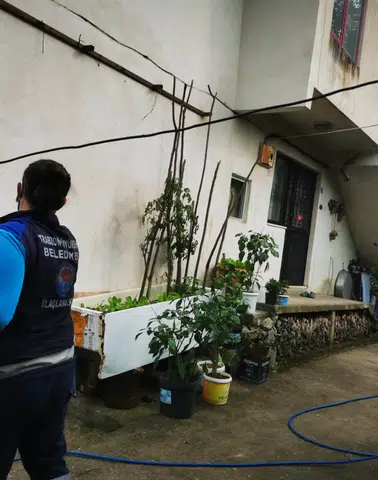 Yomra’da Kahverengi Kokarca Zararlısına Karşı İlaçlama Çalışması