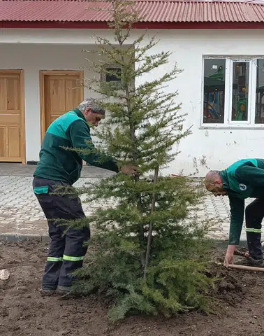 Oltu Belediyesi’nden Ağaçlandırma Hamlesi: 86 Yeni Ağaç Toprakla Buluştu