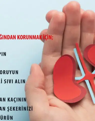 12 Mart Dünya Böbrek Günü: Sağlıklı Çevre, Sağlıklı Böbrekler İçin Farkındalık Çağrısı