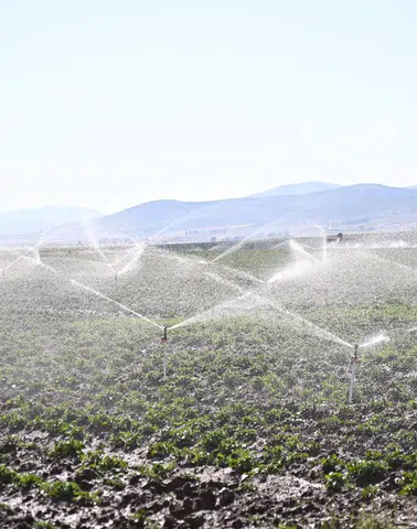 Bayburt’ta Tarıma Can Suyu: 19 Sulama Tesisi Hizmette