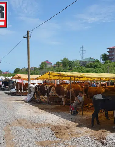 Ortahisar Belediyesi’nden Kurban Bayramı Hazırlığı