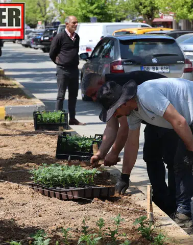 Arhavi’de Peyzaj Seferberliği: Cadde ve Meydanlar Çiçeklerle Renklendi