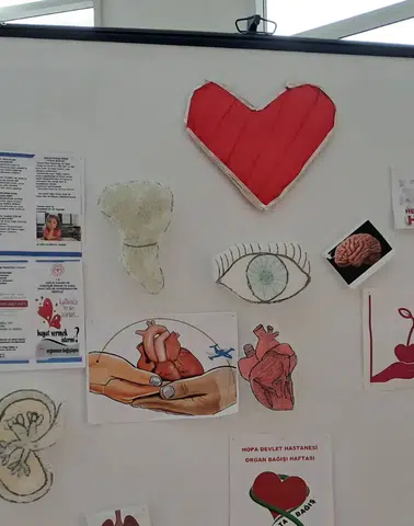 Hopa’da Organ ve Doku Bağışı İçin Bilgilendirme Seferberliği