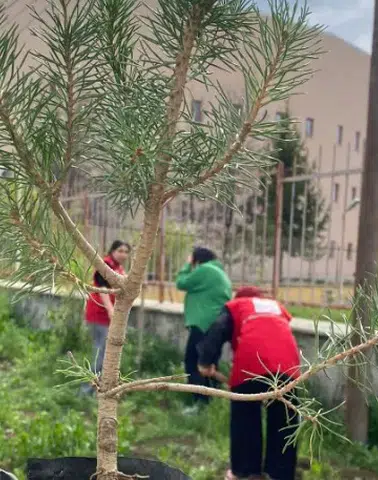 Horasan’da Öğrencilerden Geleceğe Nefes Olan Etkinlik