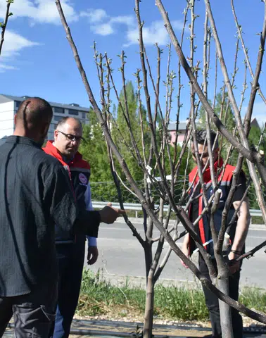Bayburt’ta Katma Değerli Tarımsal Üretime Yakın Takip