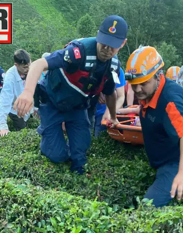 Çayeli’nde Çaylık Arazide Mahsur Kalan Vatandaş Ekiplerin Müdahalesiyle Kurtarıldı