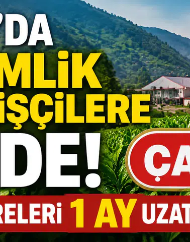 ÇAYKUR'da Mevsimlik Teknik İşçilere Müjde! Çalışma Süreleri 1 Ay Uzatıldı