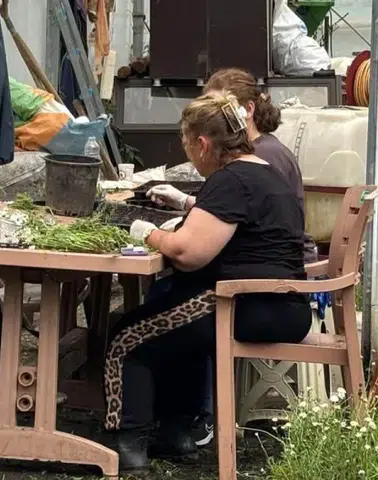 Meci Tarım Parkı'nda Örnek Dayanışma: Ziraat Odası ile Belediye El Ele Verdi