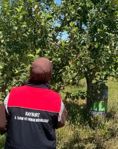 Bayburt'ta Hasat Öncesi Pestisit Denetimleri Başladı