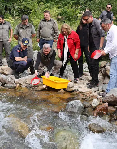 Artvin'de Doğal Alabalık Seferberliği: 2026'da 100 Bin Yavru Su Kaynaklarıyla Buluştu