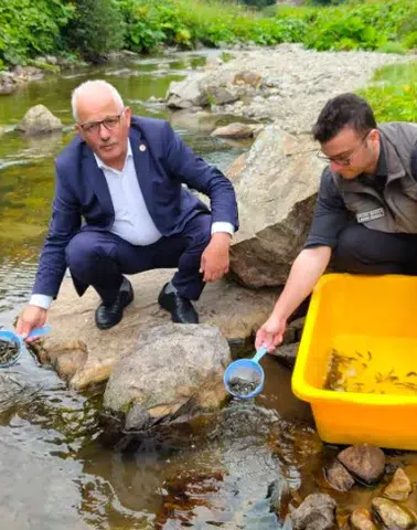 Kırmızı Benekli Alabalıklar Köprübaşı’nda Doğal Yaşam Alanlarıyla Buluştu